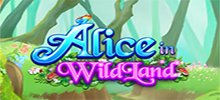 Down the rabbit hole we go to the magical world of WildLand in SpinPlay Games’ new slot, Alice in WildLand! Join Alice as she encounters the mischievous, grinning Cheshire Cat triggering Copycat Wilds, Cheshire Multipliers and Nudging Copycat Wilds in Free Spins! This game will bring out the believer in you! Alice in WildLand, played out on two reel sets, introduces Alice on an adventure through WildLand where she encounters the Cheshire Cat, the ever-running late Rabbit, the tranquil Caterpillar, and peculiar potions and pastries. The game keeps players engaged with the Copycat Wilds. Triggering the feature is easy: land an entire reel of Wilds on either reel set and the stack copies to the corresponding reel on the other reel set. The Cheshire Cat’s generosity is as enormous as his grin in the Cheshire Multipliers Feature where players can win over 12,000x. The player can win up to 6 Cheshire Multipliers in one spin! Land an entire reel of Wilds on the same reel of both reel sets to be awarded a Cheshire Multiplier. Also, watch for him to randomly appear during any spin to award a multiplier. You’re not dreaming, all multipliers add together and apply to all wins! Don’t be late for the very important date with Free Spins! The Copycat Wilds and Cheshire Multipliers features can trigger more often in Free Spins as the Wilds nudge to fill the reels!