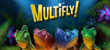 Did you know that there are slot machines in the jungle? In our brand new game Multifly, chameleons have their eyes set on tasty fireflies – the more they eat, the more you win! This machine comes buzzing with ways to multifly your winnings.
