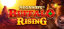 <div>Unleash your wild side in this great frontier adventure, with up to 117,649 ways to win, Cascade symbols and an optional Buffalo Bet, giving you automatic access to the Free Spins feature. <br/>
</div>
<div>During Free Spins, the Unlimited Prize Multiplier is active and increases after each prize. Pay special attention to the Mysterious Symbol, when they are all visible they reveal the same random symbol to get even more ways to find your luck! </div>